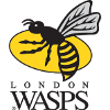 Wasps Wasps
