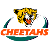 Toyota Cheetahs Toyota Cheetahs