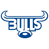 Blue Bulls Blue Bulls