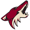 Arizona Coyotes Arizona Coyotes